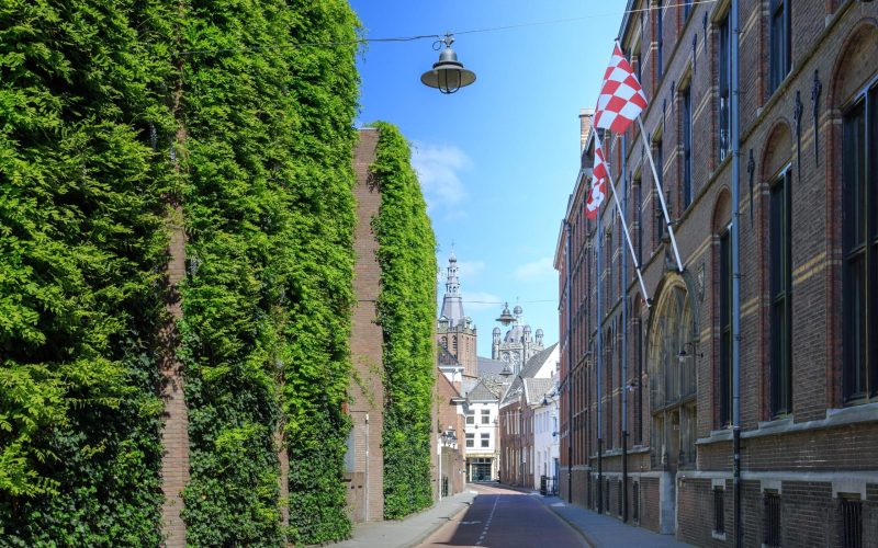Waterstraat-view-of-St-Johns